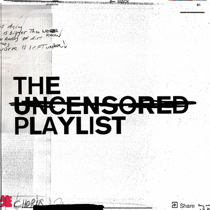 The Uncensored Playlist Vinyl